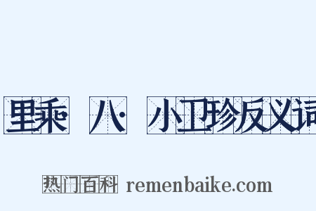 里乘·八·小卫珍反义词是什么意思的图片